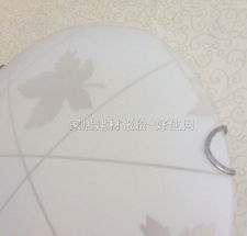 【凌志吸頂燈_臥室吸頂燈8045/2_圓形_&phi;300mm_東南亞風(fēng)格_白底帶圖案玻璃】_價(jià)格報(bào)價(jià)_實(shí)拍圖片_參數(shù)-好住網(wǎng)